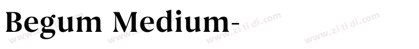 Begum Medium字体转换
